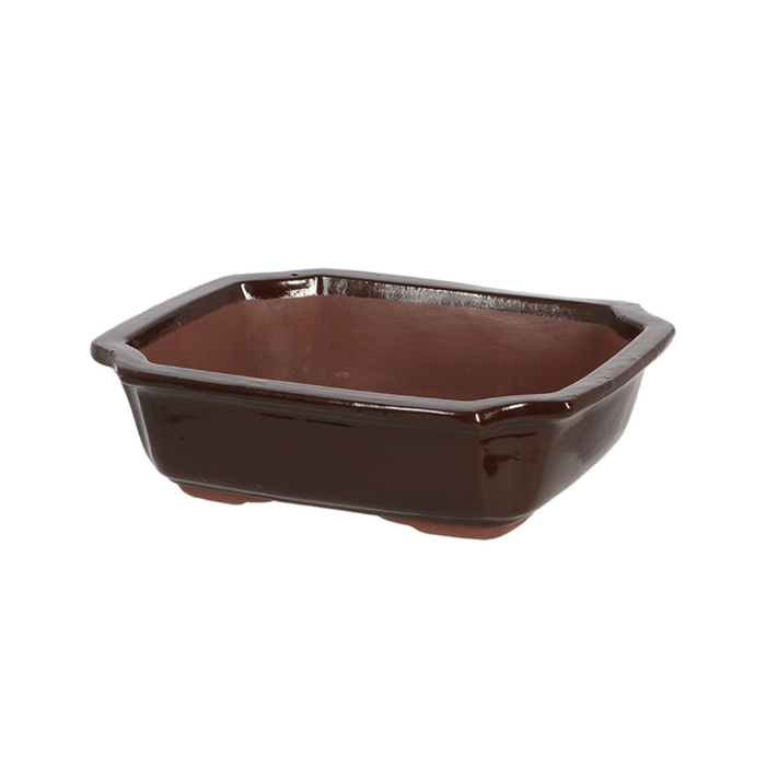 ESSCHERT DESIGN Rectangular Bonsai Pot - Medium