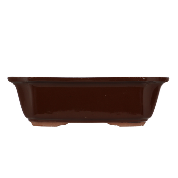 ESSCHERT DESIGN Rectangular Bonsai Pot - Large