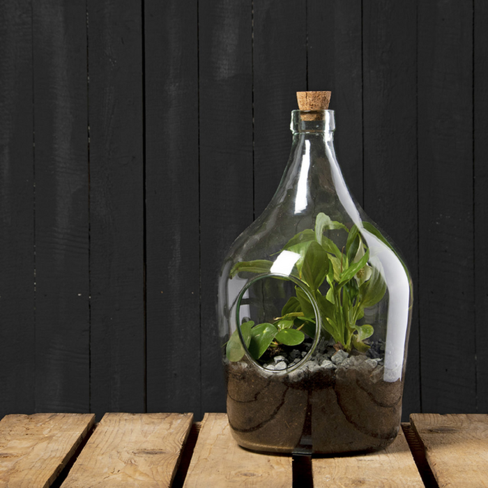 ESSCHERT DESIGN Terrarium Bottle With Opening - 5L