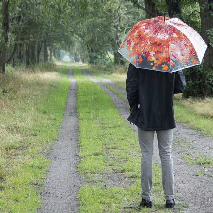 ESSCHERT DESIGN Umbrella - Autumn Tree