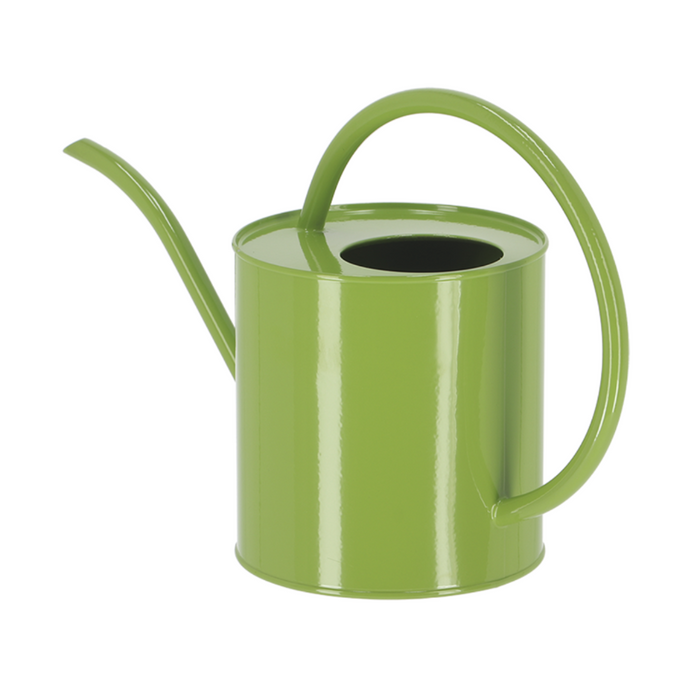 ESSCHERT DESIGN 'Nature Shades' Indoor Watering Can Small - Green