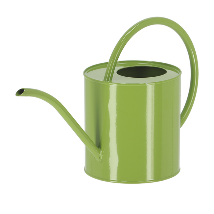 ESSCHERT DESIGN 'Nature Shades' Indoor Watering Can Small - Green