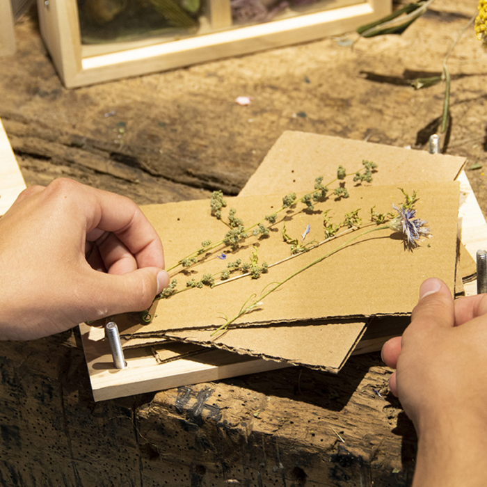 ESSCHERT DESIGN Flowers & Herbs Press