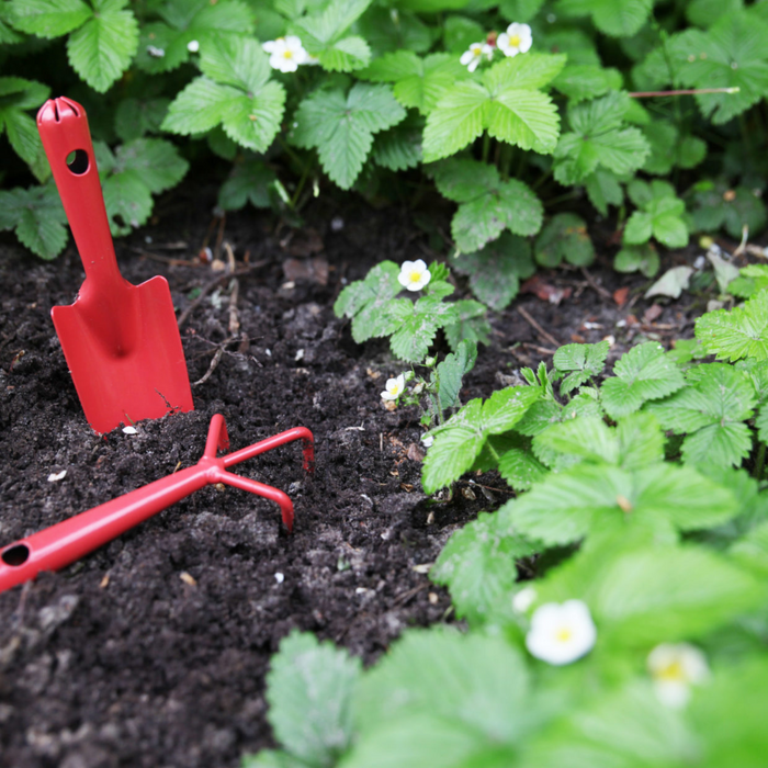 ESSCHERT DESIGN Iron Gardening Set - Small