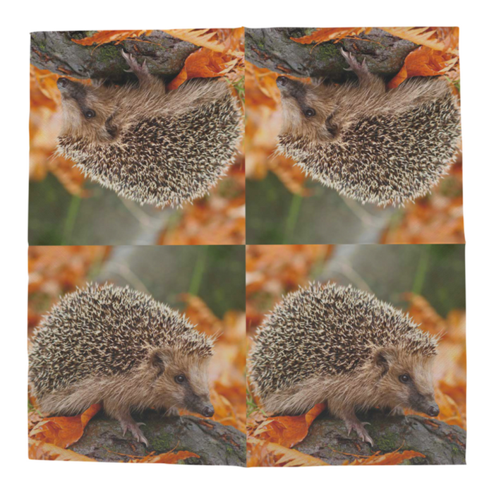 ESSCHERT DESIGN Paper Napkins 20pk - Hedgehogs