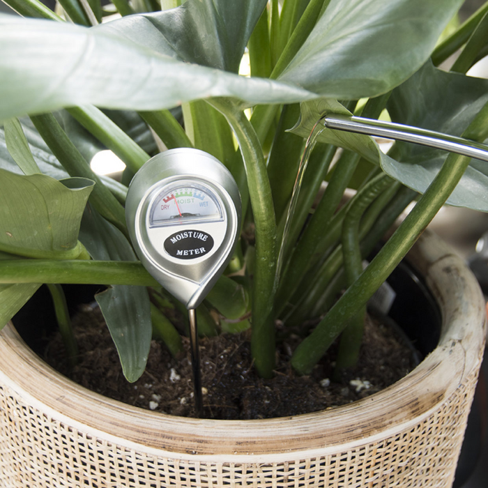 ESSCHERT DESIGN Soil Moisture Meter