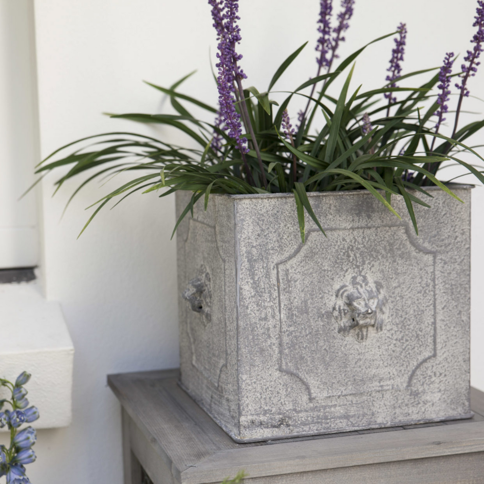 ESSCHERT DESIGN Square Lion Flower Pot Set of 2 — Core Supply Group