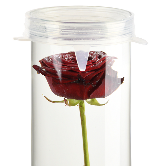 ESSCHERT DESIGN Silicone Cap To Suit Submerged Flower Vase